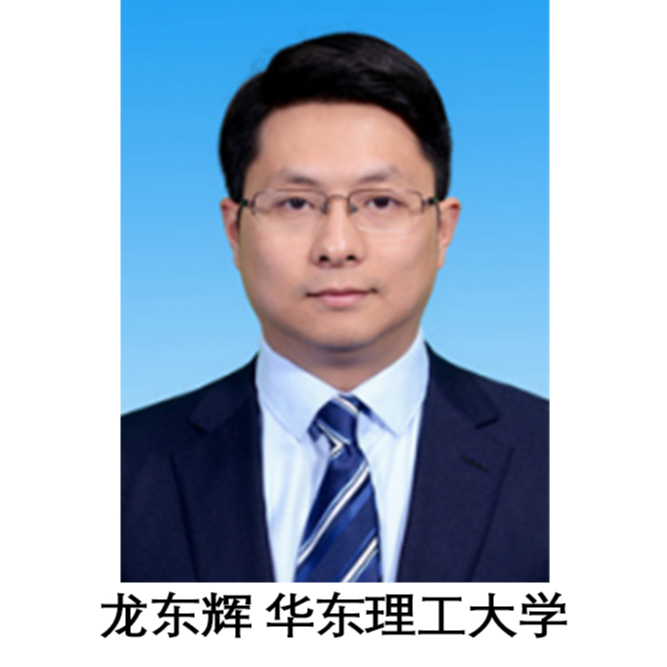 龙东辉 华东理工大学 教授