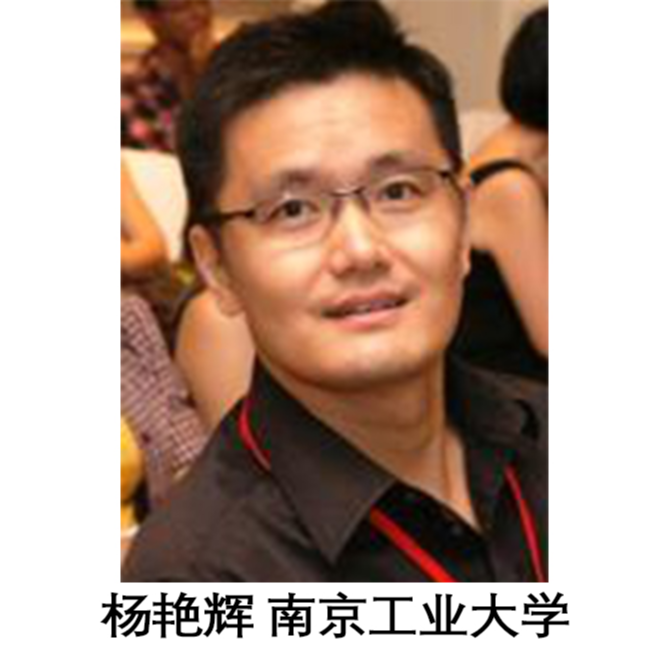 杨艳辉 南京工业大学 教授