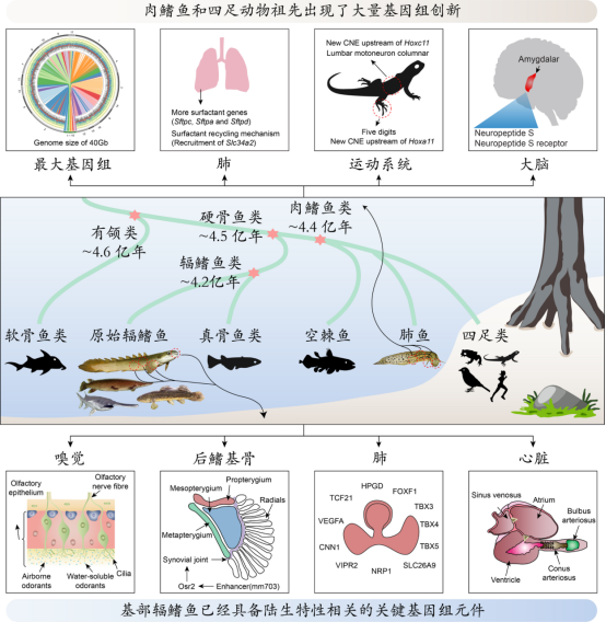 2021年度中国生命科学十大进展1576.png