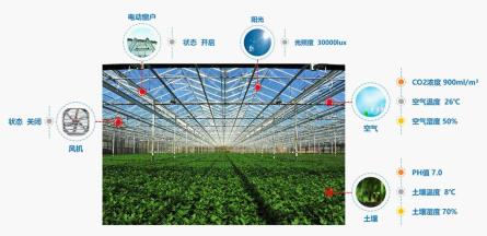 科技兴农，顺舟智能推出智慧农业物联网解决方案