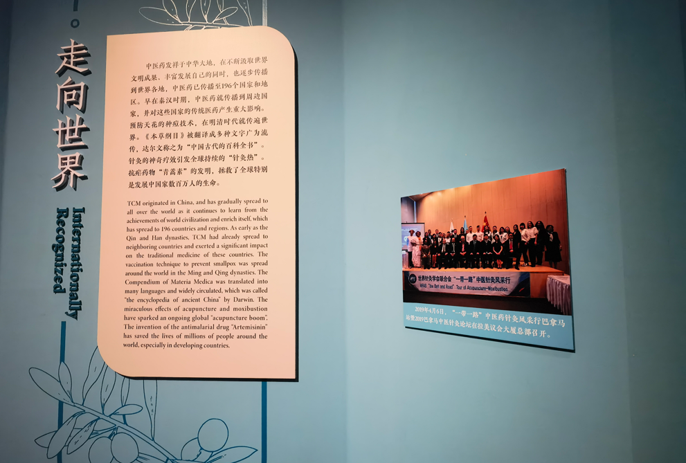 图片 5.png